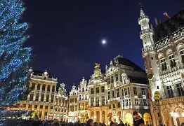 米兰体育-比利时乒乓球队强势德国乒乓球队，樊振东送出助攻的简单介绍