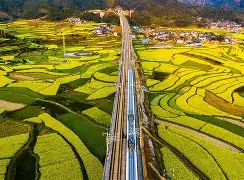 米兰体育app入口-V5血洗C9，Lehends惊艳世界