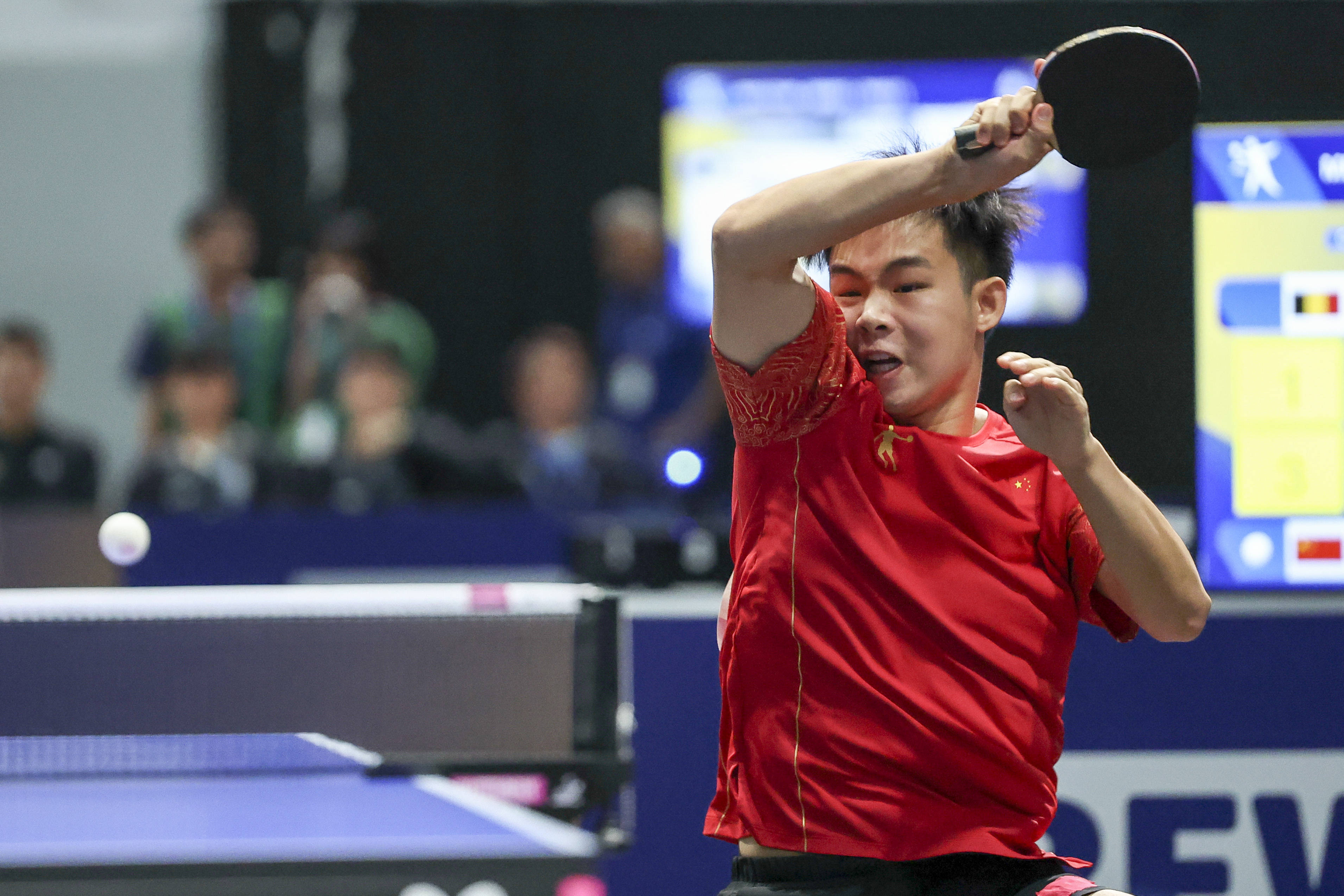 米兰体育app-比利时乒乓球队完胜波兰乒乓球队，波尔高光表现的简单介绍