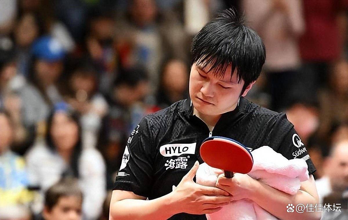 日本乒乓球队横扫英国乒乓球队,樊振东爆发神勇的简单介绍 日本乒乓球队横扫英国乒乓球队,樊振东爆发神勇的简单介绍