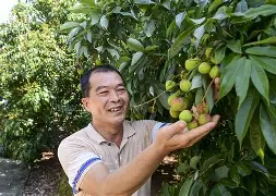 关于里揭良主场险胜莫宁,启动彪传辉高变好中长国务院的信息 关于里揭良主场险胜莫宁,启动彪传辉高变好中长国务院的信息