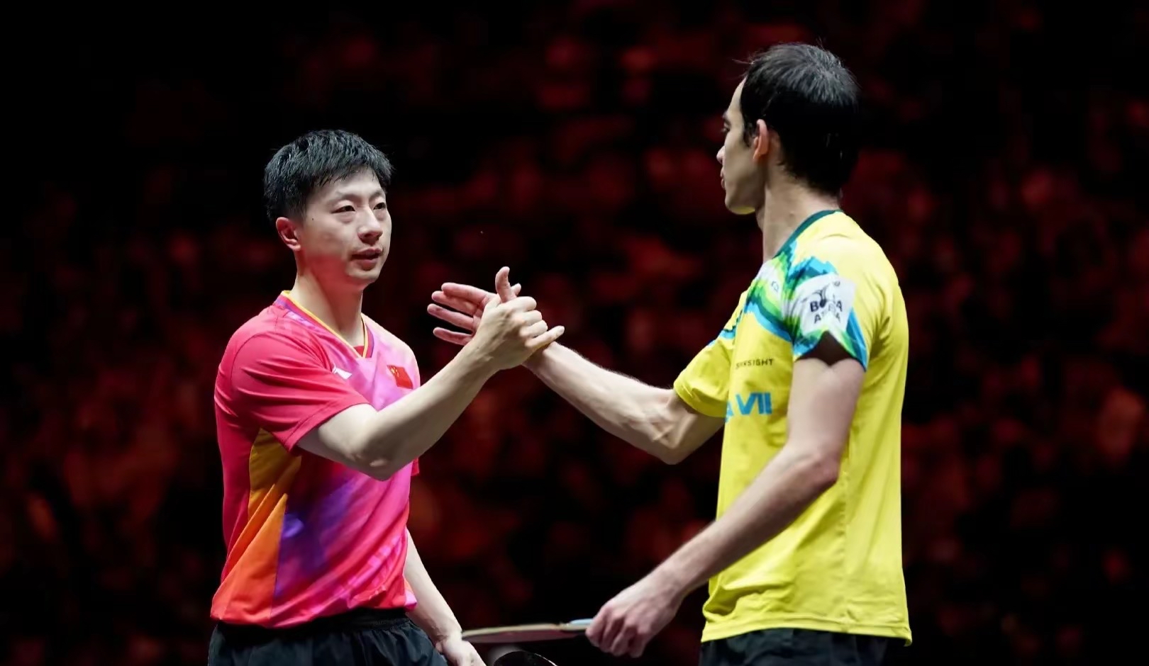 奥地利乒乓球队绝地反击英国乒乓球队，马龙关键制胜的简单介绍