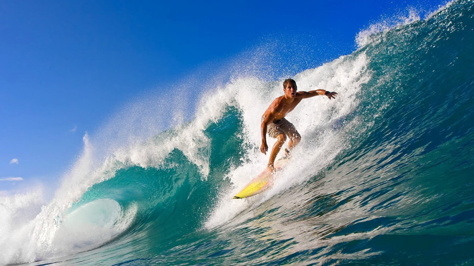 班凯罗独舞北境雪原,辽宁力克热火展露冠军獠牙